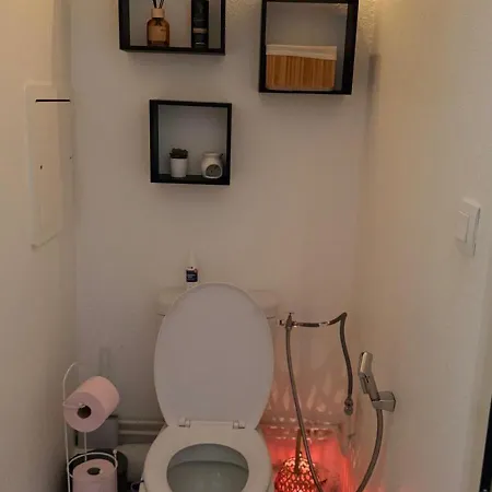 Apartman Vue Sur Le Rhin En Plein Coeur De La Strasbourg